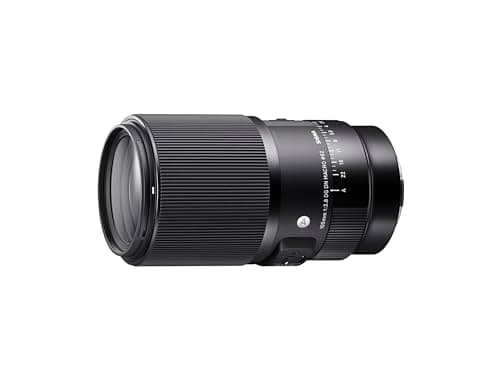 Sigma 105mm F2.8 DG DN Macro Art (montura Sony E) - imagen 5